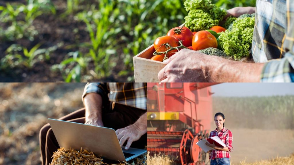 Essa cidade se destaca como uma das capitais mais agradáveis do Brasil.