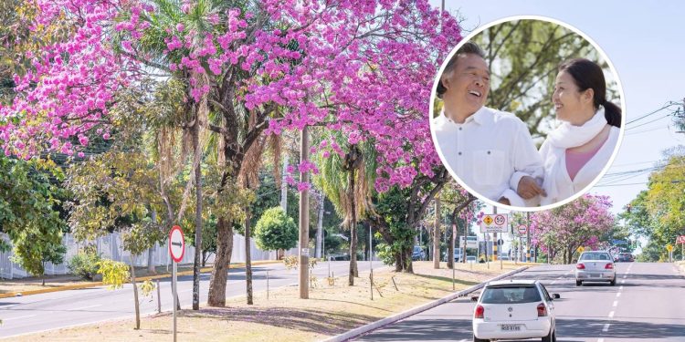 Essa cidade se destaca como uma das capitais mais agradáveis do Brasil.