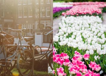 Destino cheio de canais, flores e boa gastronomia vira sonho de viagem para brasileiros