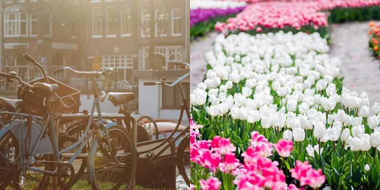 Destino cheio de canais, flores e boa gastronomia vira sonho de viagem para brasileiros