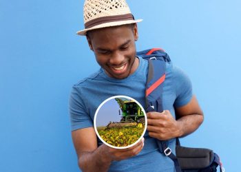 Empreendedores elegem a cidade que é a Capital Nacional da Agroindústria no oeste de Santa Catarina