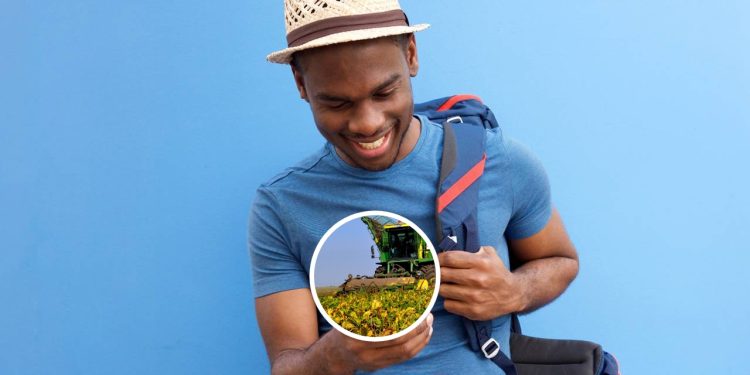 Empreendedores elegem a cidade que é a Capital Nacional da Agroindústria no oeste de Santa Catarina