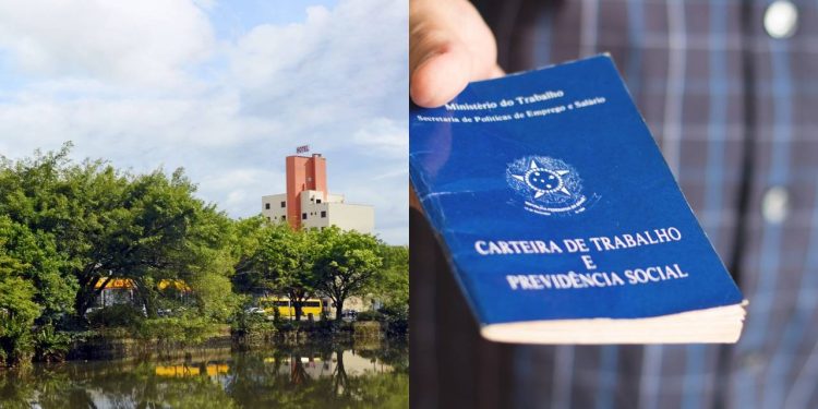 Quem quer trabalhar carteira assinada já pode comemorar a melhor cidade com qualidade de vida e oportunidades