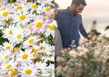 Cidade fundada há 76 anos por imigrantes holandeses é a maior produtora de flores e de plantas ornamentais de todo o Brasil