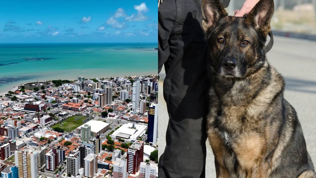 Cidade com 1,2 milhão de habitantes tem praias e qualidade de vida alta