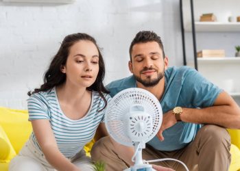 Ventiladores silenciosos para refrescar sem barulho