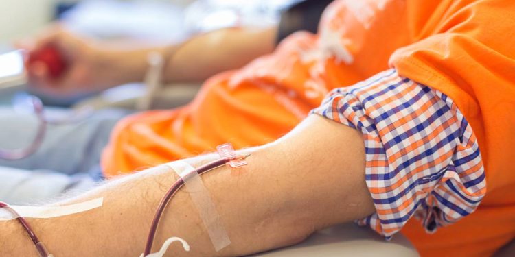 Trabalhadores brasileiros que doam sangue precisam saber deste direito garantido por lei