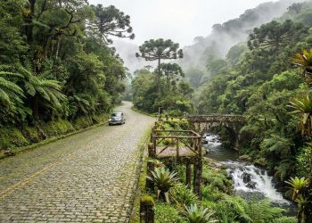 Rodovia histórica vira atração turística no Paraná; com seus paralelepípedos e 7 riachos, ela é um museu a céu aberto na Mata Atlântica