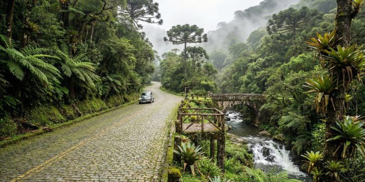 Rodovia histórica vira atração turística no Paraná; com seus paralelepípedos e 7 riachos, ela é um museu a céu aberto na Mata Atlântica