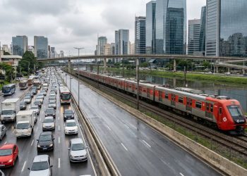 Com 22,5 km de vias expressas e dezenas de pontes, a avenida é a artéria vital que move a maior metrópole do Brasil ao lado do rio