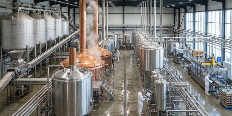 Toneladas de malte, milhões de litros de água e semanas de fermentação: é assim que a engenharia transforma grãos na cerveja do seu copo