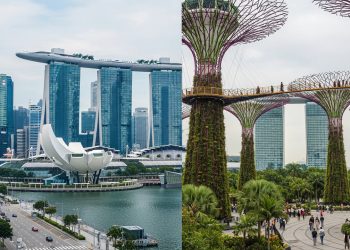 Singapura impressiona turistas ao unir tecnologia futurista, natureza urbana e custo elevado