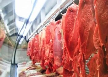 Imagem: Reprodução