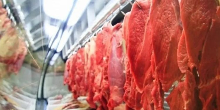 Imagem: Reprodução