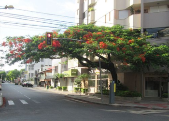 A cidade que combina saúde de referência com bairros elegantes e arborizados