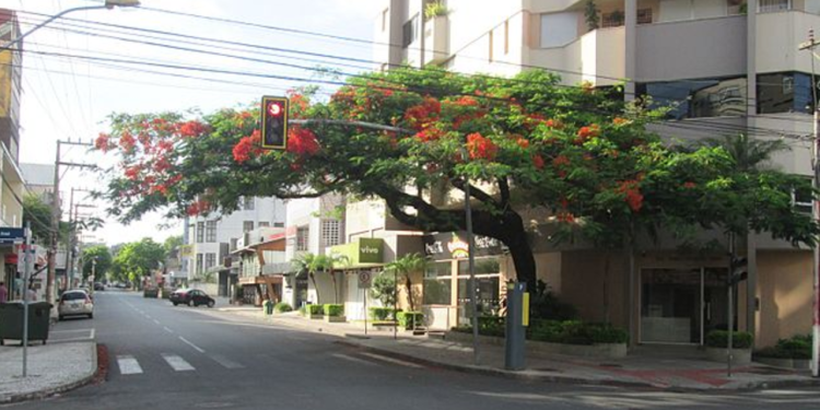 A cidade que combina saúde de referência com bairros elegantes e arborizados
