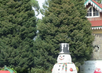 O refúgio gelado da serra catarinense que vive entre maçãs, lareiras e noites abaixo de zero