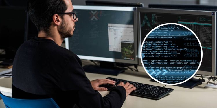 Profissionais pulam de alegria com carreira pouco concorrida e renda alta