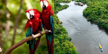 Cidade com 364 mil habitantes entrega qualidade de vida amazônica