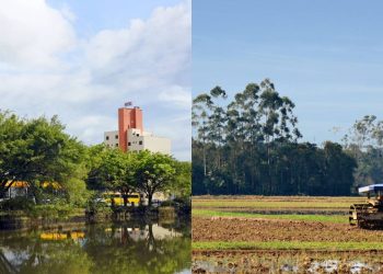 Essa cidade do Sul virou potência industrial e pouca gente percebeu