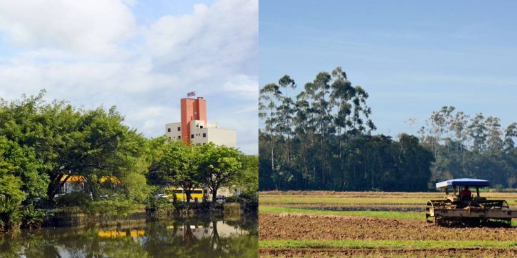 Essa cidade do Sul virou potência industrial e pouca gente percebeu