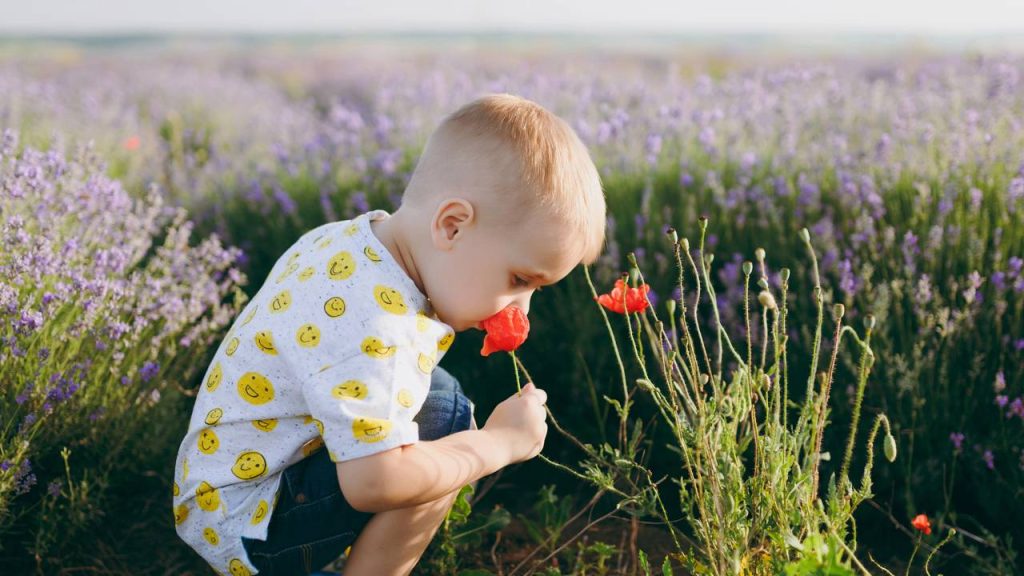 Três perfumes infantis suaves para o dia a dia que não incomodam