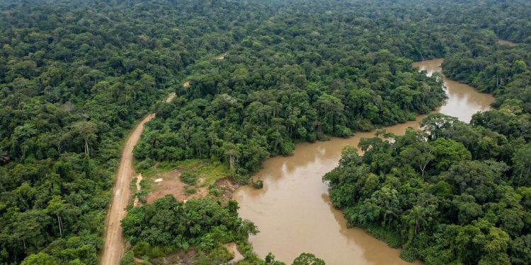A selva de 160 km que interrompe a rodovia Pan-Americana; sem asfalto e cheia de pântanos, o Estreito de Darién é a barreira natural entre as Américas