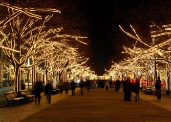 Avenida histórica de 1,5 km vira o coração de Berlim; com suas famosas tílias, a Unter den Linden une o Portão de Brandemburgo à Ilha dos Museus