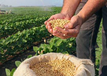 Agro movimenta R$ 1,4 trilhão em 2025, mais que o dobro do que cresceu em dez anos