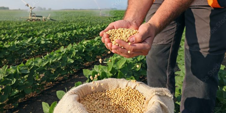 Agro sustenta prévia do PIB (IBC-Br) em 2025 enquanto serviços perdem tração