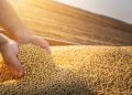 Agro movimenta R$ 1,4 trilhão em 2025, mais que o dobro do que cresceu em dez anos