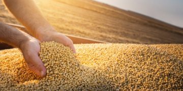 Agro movimenta R$ 1,4 trilhão em 2025, mais que o dobro do que cresceu em dez anos