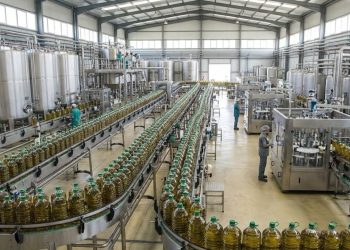 Com toneladas de azeitonas e uma prensagem a frio, a indústria extrai o azeite mais puro por centrifugação