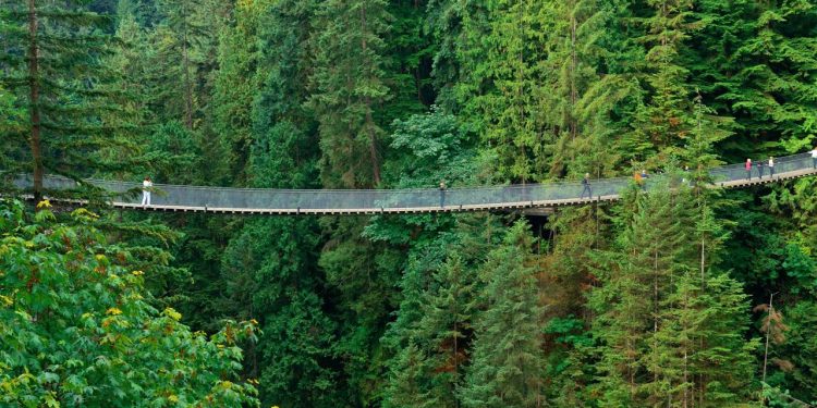 Com 137 metros de extensão e suspensa a 70 metros sobre um rio, a ponte de 1889 virou o maior símbolo de aventura e da engenharia em Vancouver