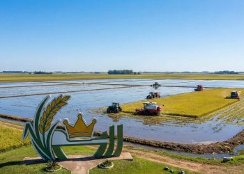 Cidade do interior do RS, situada a 68 metros de altitude, tem o título de capital nacional do arroz e lidera a produção do grão no Sul do país