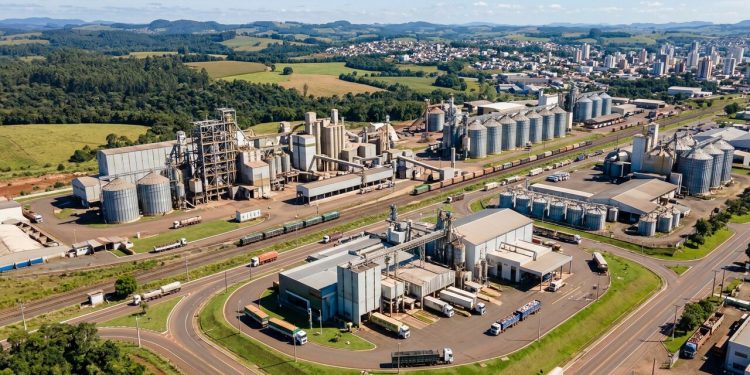 Cidade ideal para quem busca trabalho no agronegócio, Chapecó é a capital nacional da agroindústria e motor econômico do oeste de Santa Catarina