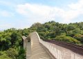 A futurista passarela de pedestres de 274 metros com estrutura de aço em ondas que se eleva a 36 metros de altura no topo das florestas de Singapura