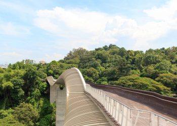 A futurista passarela de pedestres de 274 metros com estrutura de aço em ondas que se eleva a 36 metros de altura no topo das florestas de Singapura