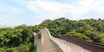 A futurista passarela de pedestres de 274 metros com estrutura de aço em ondas que se eleva a 36 metros de altura no topo das florestas de Singapura