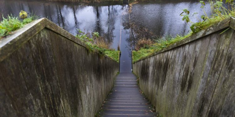 Com sua estrutura de madeira submersa, que parece dividir as águas, a ponte de 2011 na Holanda virou um ícone mundial da arquitetura invisível