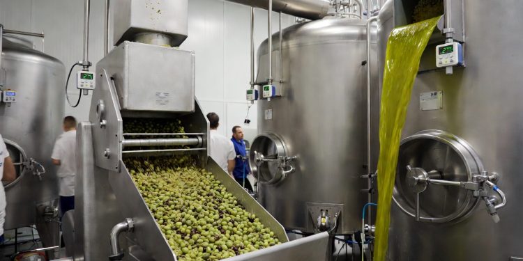 Com moagem ultrafina, prensagem a frio e centrifugação contínua, a engenharia alimentícia extrai o azeite que preserva sabor, aroma e propriedades nutricionais