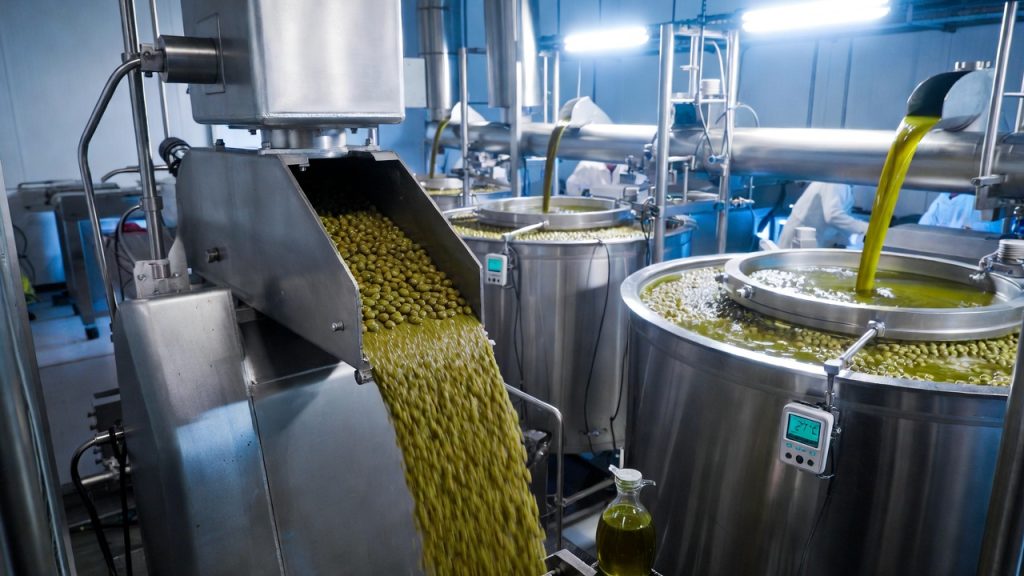 Com moagem ultrafina, prensagem a frio e centrifugação contínua, a engenharia alimentícia extrai o azeite que preserva sabor, aroma e propriedades nutricionais