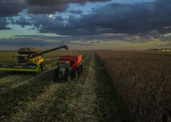 Novo seguro rural pode custar 4 vezes mais e exigir até R$ 4,5 bilhões por ano do produtor