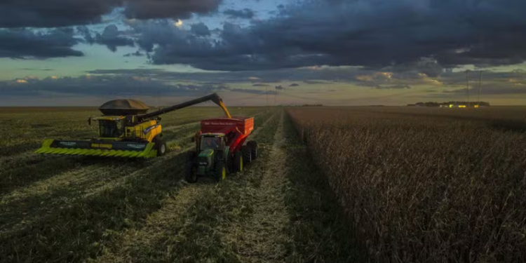 Imagem: Dado Galdieri/Bloomberg