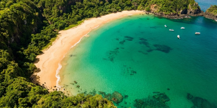 Vista aérea deslumbrante da Baía do Sancho, mostrando o degradê de azul da água cristalina e as falésias verdes que isolam a praia.
