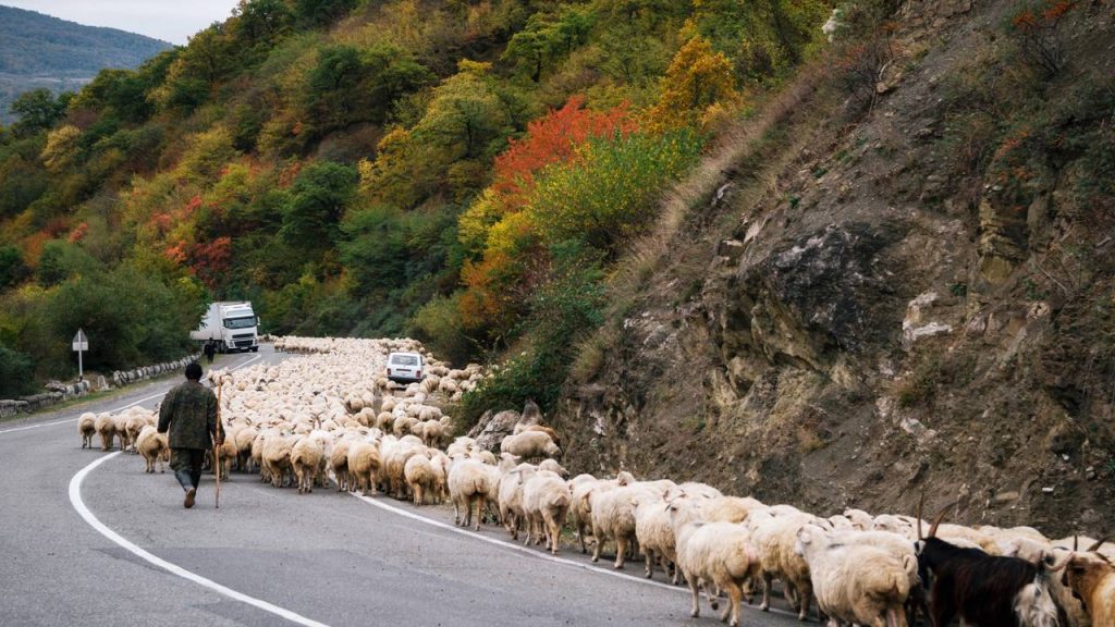 Rodovia na Geórgia ganha fama por sua história, pois seus 212 km de extensão cruzam o Cáucaso a 2.379 metros de altitude unindo nações vizinhas