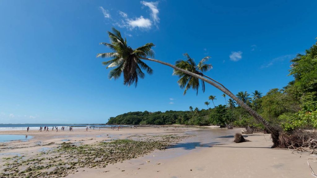 Colonizada desde o século XVI, a Ilha de Boipeba é um marco da história baiana, eleita uma das mais bonitas do mundo por sua natureza intocada
