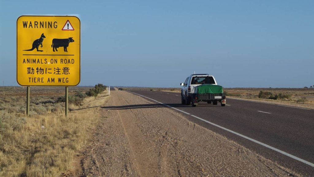 A rodovia australiana possui 2.728 km de extensão; cruzando o deserto do Outback de norte a sul, a via é a espinha dorsal de asfalto do país 