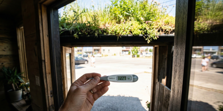 Casa de 50 metros quadrados com telhado verde que reduz a temperatura interna durante dias quentes