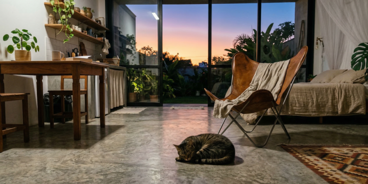 Refúgio de 40 metros quadrados com piso térmico de concreto que armazena calor do sol durante o dia e libera lentamente à noite